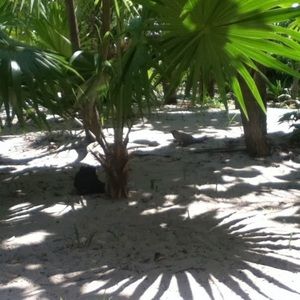 Meet your Posher, Jen